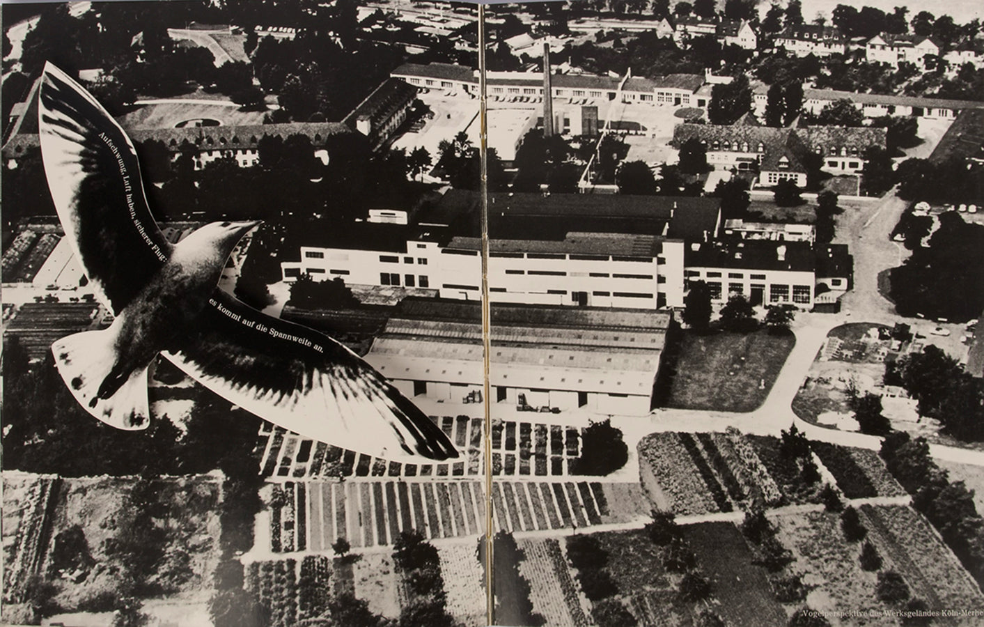 This innovative company book was issued to commemorate the fiftieth anniversary of Cologne-based pharmaceuticals company Dr. Madaus.