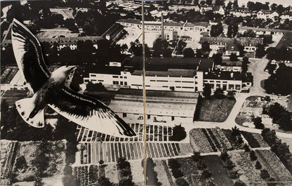 This innovative company book was issued to commemorate the fiftieth anniversary of Cologne-based pharmaceuticals company Dr. Madaus.