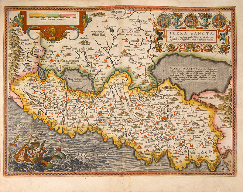 TERRA SANCTA.