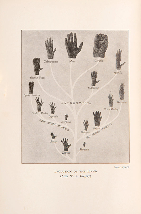 First UK edition of the uncommon evolutionary biology textbook The Story of Evolution by Benjamin Gruenberg, 1929, handsomely bound for the Harrow School.