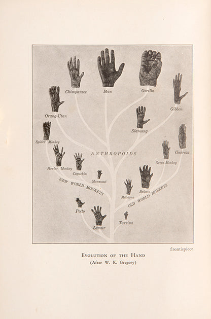 First UK edition of the uncommon evolutionary biology textbook The Story of Evolution by Benjamin Gruenberg, 1929, handsomely bound for the Harrow School.