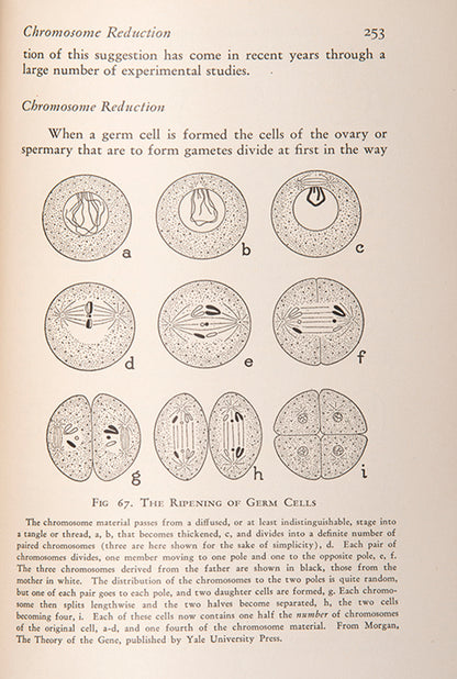First UK edition of the uncommon evolutionary biology textbook The Story of Evolution by Benjamin Gruenberg, 1929, handsomely bound for the Harrow School.