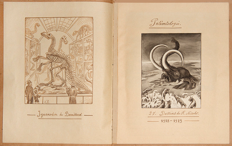 A highly original and accomplished manuscript on palaeontology featuring 27 watercolours by Robert Nicolet, a young Swiss artist in Belgium between 1917 and 1919.