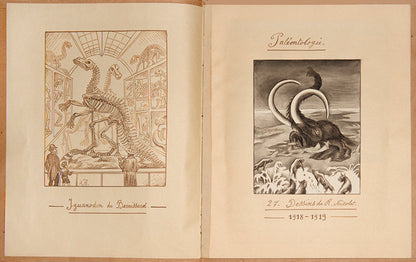A highly original and accomplished manuscript on palaeontology featuring 27 watercolours by Robert Nicolet, a young Swiss artist in Belgium between 1917 and 1919.
