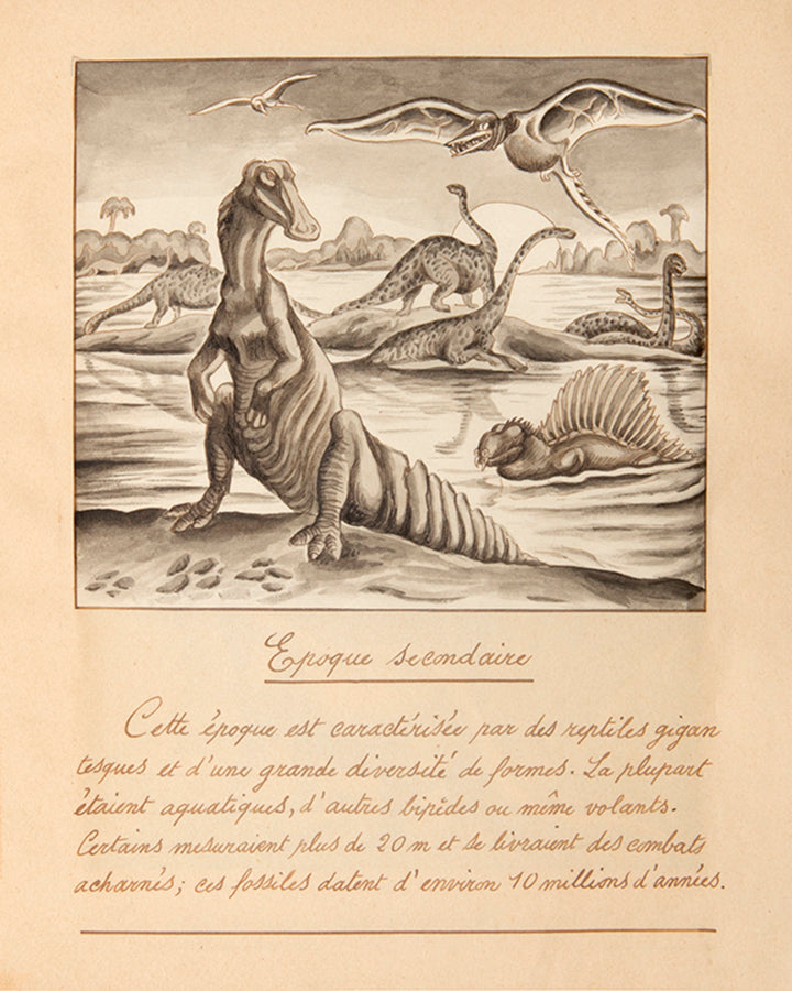 A highly original and accomplished manuscript on palaeontology featuring 27 watercolours by Robert Nicolet, a young Swiss artist in Belgium between 1917 and 1919.