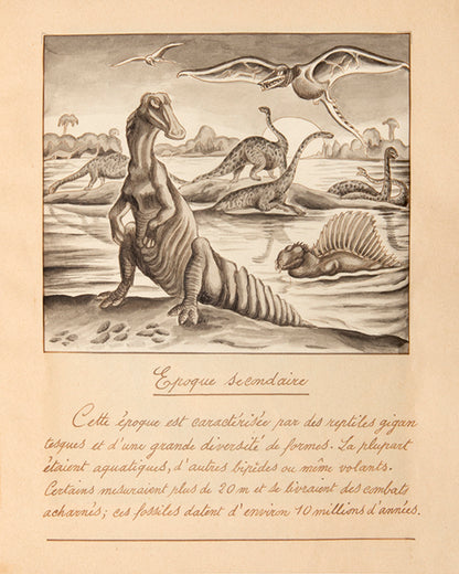 A highly original and accomplished manuscript on palaeontology featuring 27 watercolours by Robert Nicolet, a young Swiss artist in Belgium between 1917 and 1919.