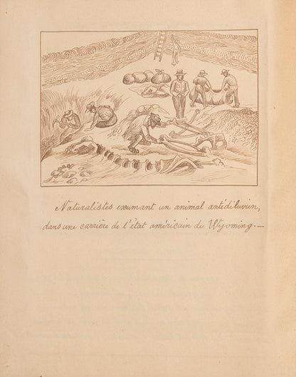 A highly original and accomplished manuscript on palaeontology featuring 27 watercolours by Robert Nicolet, a young Swiss artist in Belgium between 1917 and 1919.
