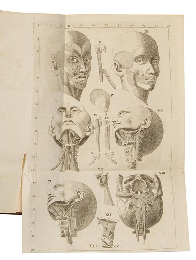 An Anatomical Exposition of the Structure of the Human Body by James Benignus [Jacques-Bénigne] Winslow, reissue of the first English edition, 1734.