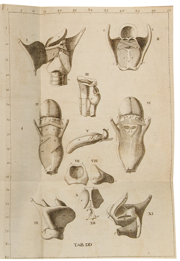 An Anatomical Exposition of the Structure of the Human Body by James Benignus [Jacques-Bénigne] Winslow, reissue of the first English edition, 1734.