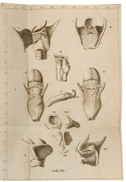 An Anatomical Exposition of the Structure of the Human Body by James Benignus [Jacques-Bénigne] Winslow, reissue of the first English edition, 1734.