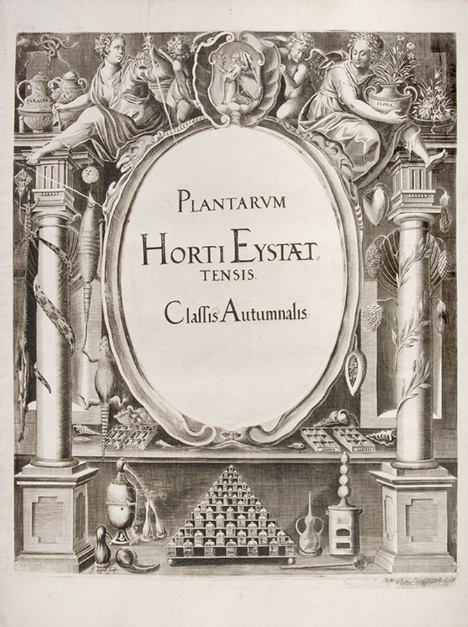First edition of the first great illustrated flower book, Basil Besler's Hortus Eystettensis, published in an edition of only 300 copies in 1613.