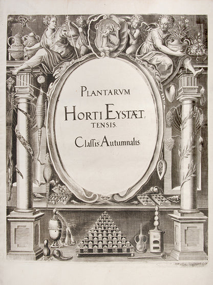 First edition of the first great illustrated flower book, Basil Besler's Hortus Eystettensis, published in an edition of only 300 copies in 1613.