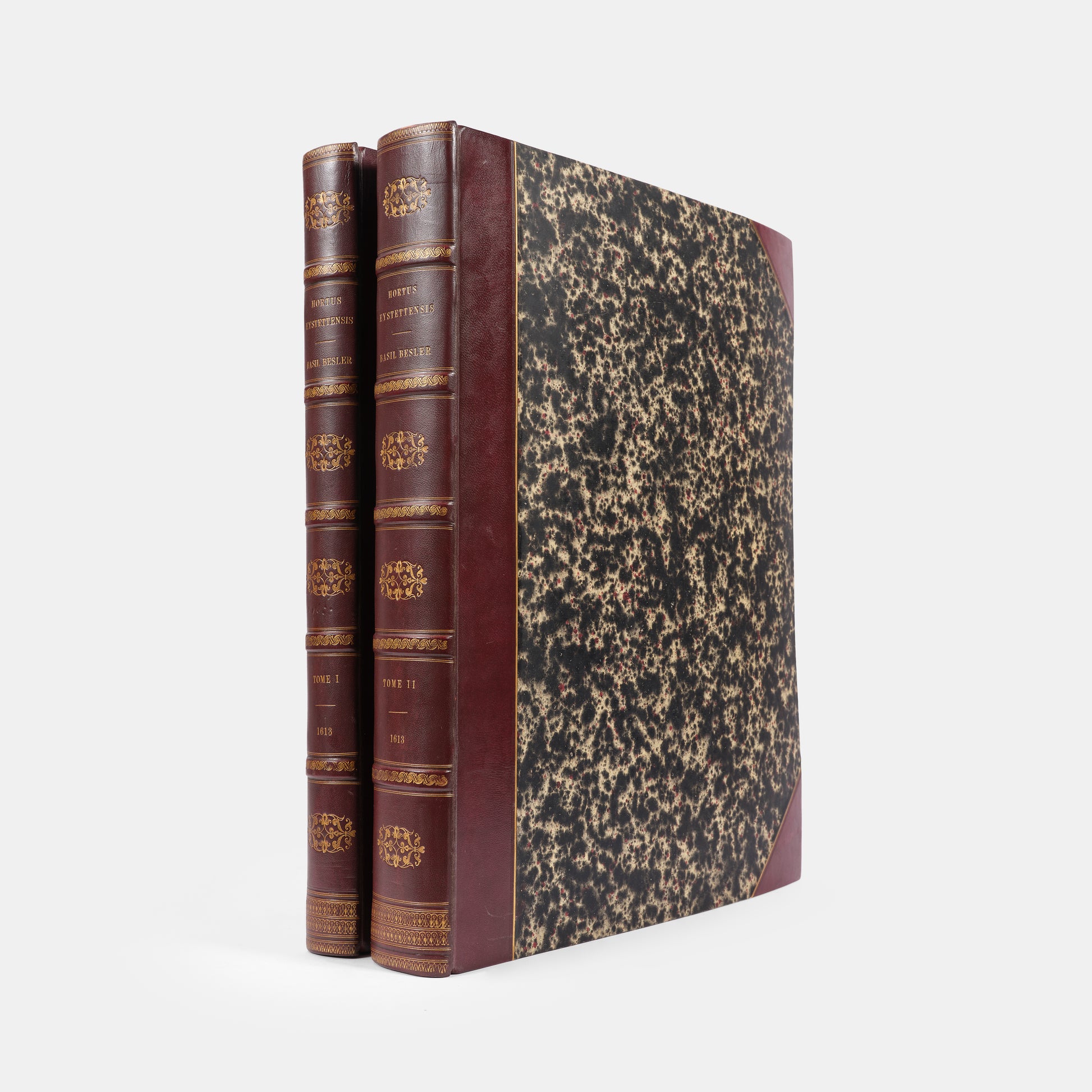 First edition of the first great illustrated flower book, Basil Besler's Hortus Eystettensis, published in an edition of only 300 copies in 1613.