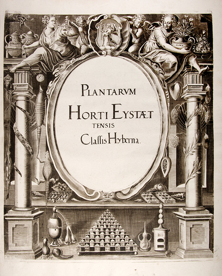 First edition of the first great illustrated flower book, Basil Besler's Hortus Eystettensis, published in an edition of only 300 copies in 1613.