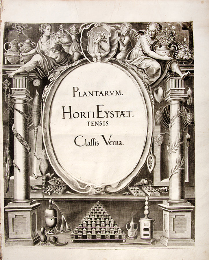 First edition of the first great illustrated flower book, Basil Besler's Hortus Eystettensis, published in an edition of only 300 copies in 1613.