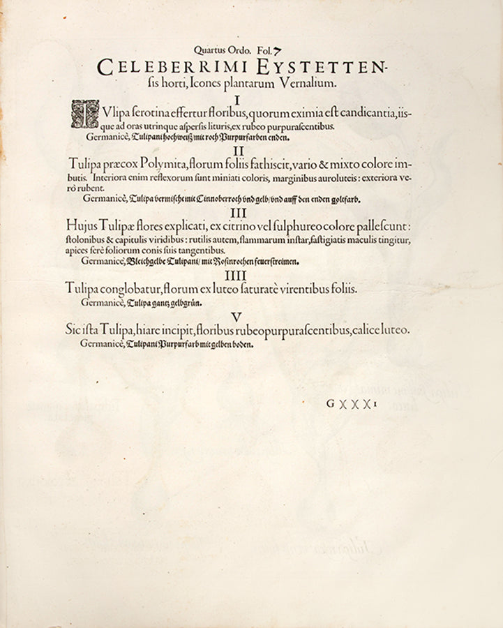 First edition of the first great illustrated flower book, Basil Besler's Hortus Eystettensis, published in an edition of only 300 copies in 1613.