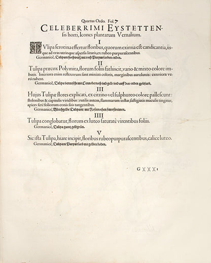 First edition of the first great illustrated flower book, Basil Besler's Hortus Eystettensis, published in an edition of only 300 copies in 1613.