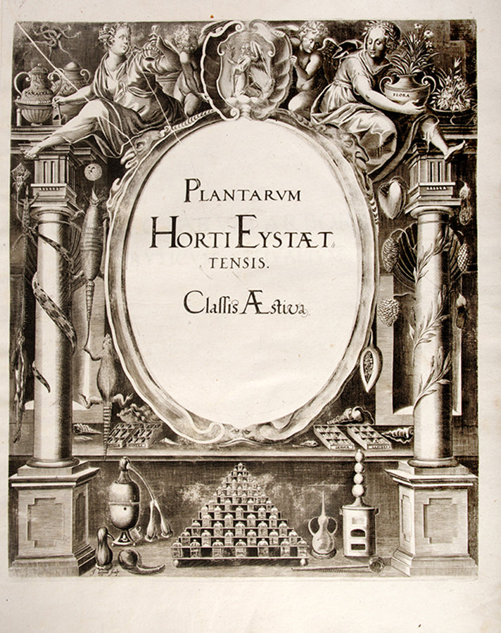 First edition of the first great illustrated flower book, Basil Besler's Hortus Eystettensis, published in an edition of only 300 copies in 1613.