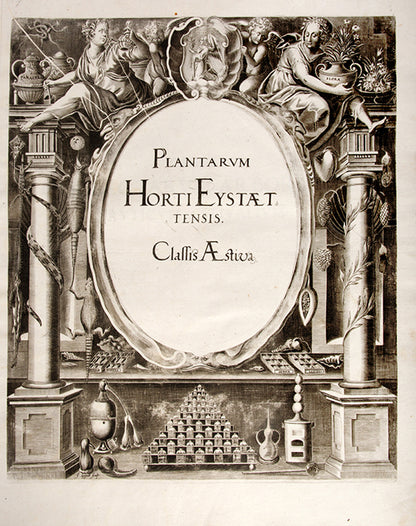First edition of the first great illustrated flower book, Basil Besler's Hortus Eystettensis, published in an edition of only 300 copies in 1613.