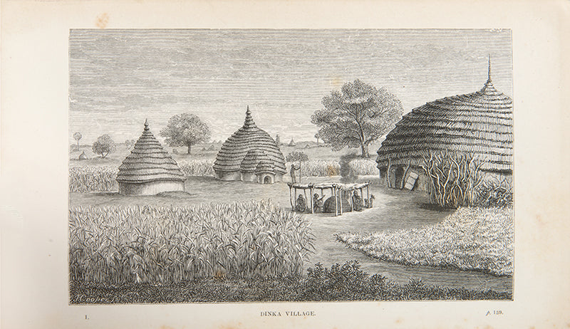 Schweinfurth expanded knowledge of the flora and fauna of central Africa as well as the ethnology of its inhabitants. He was the first European to encounter the Akka Pygmies of East Africa