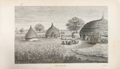 Schweinfurth expanded knowledge of the flora and fauna of central Africa as well as the ethnology of its inhabitants. He was the first European to encounter the Akka Pygmies of East Africa