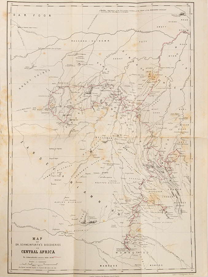 Schweinfurth expanded knowledge of the flora and fauna of central Africa as well as the ethnology of its inhabitants. He was the first European to encounter the Akka Pygmies of East Africa