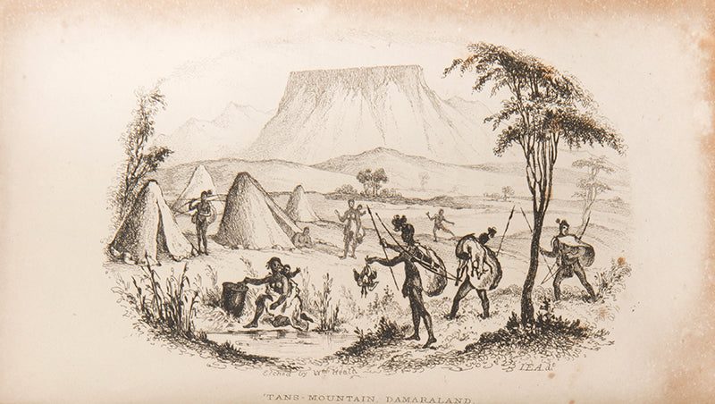 Alexander's inland journey from Cape Town during which he collected many specimens of fauna and flora.
