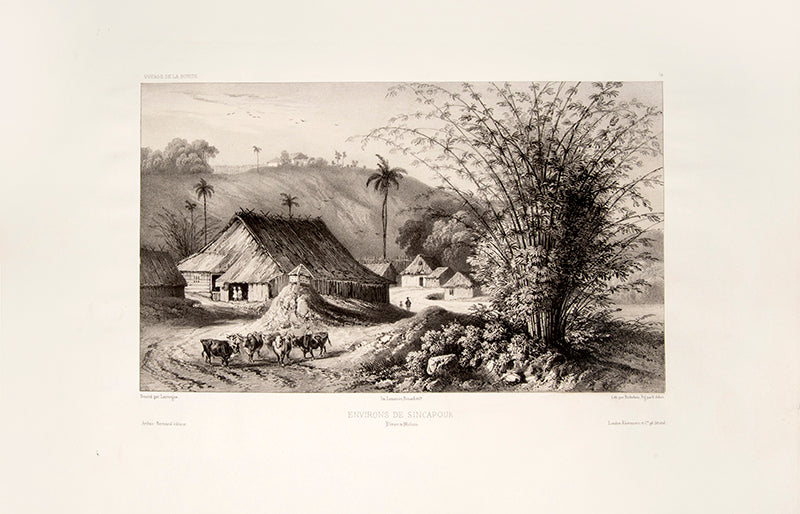 Environs De Sincapour. Plate 74.