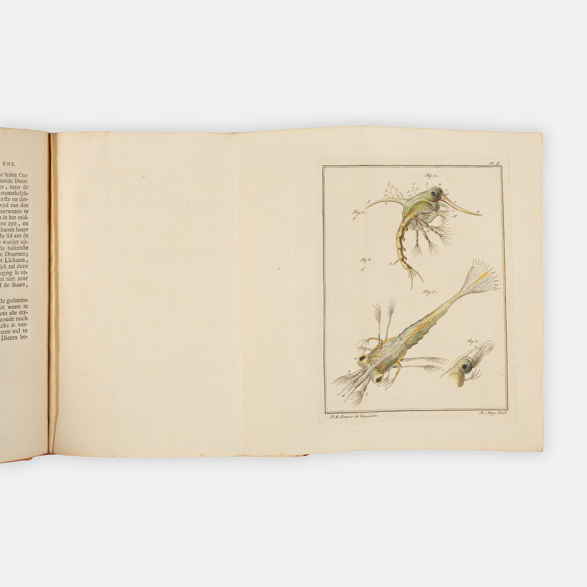 First and only edition of this uncommon microscopical work on invertebrates, Natuurkundige Verlustigingen by Martinus Slabber, published in eighteen parts between 1769 and 1778.