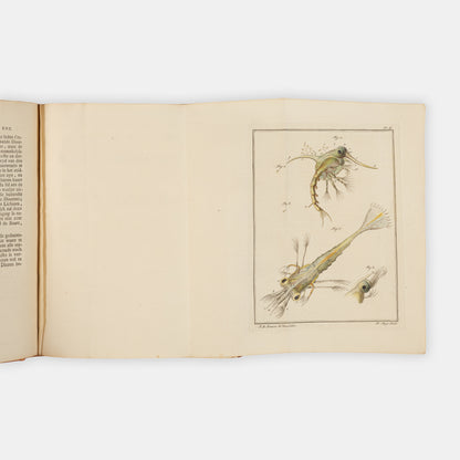 First and only edition of this uncommon microscopical work on invertebrates, Natuurkundige Verlustigingen by Martinus Slabber, published in eighteen parts between 1769 and 1778.