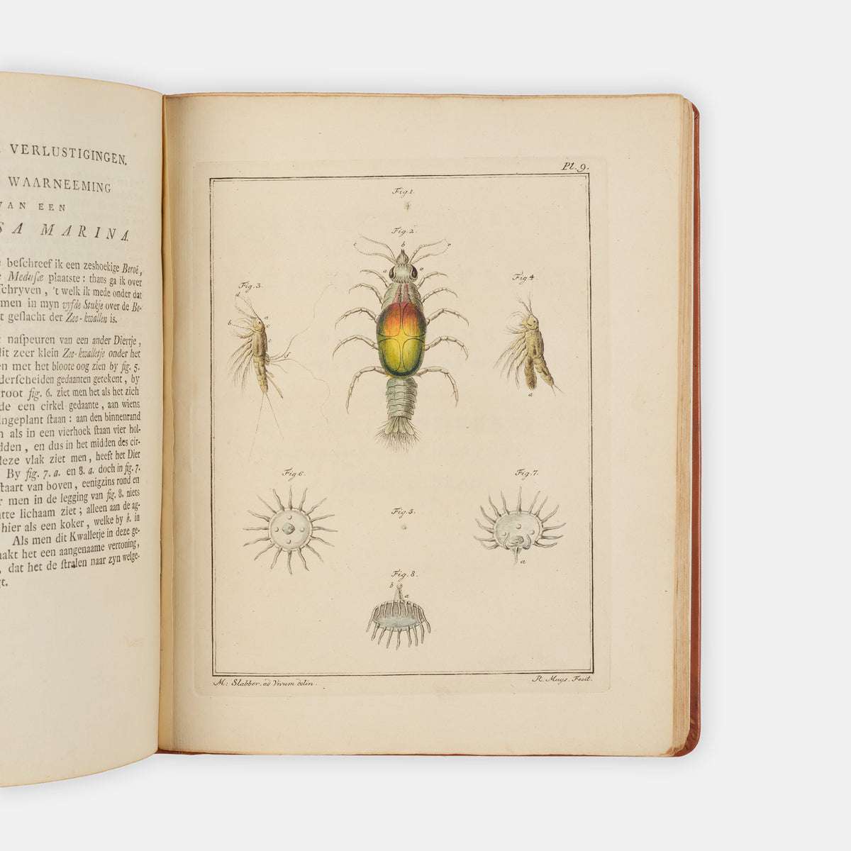 First and only edition of this uncommon microscopical work on invertebrates, Natuurkundige Verlustigingen by Martinus Slabber, published in eighteen parts between 1769 and 1778.