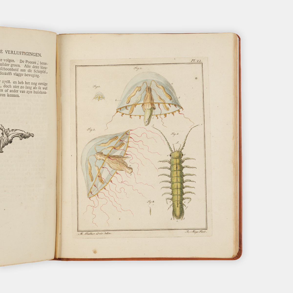 First and only edition of this uncommon microscopical work on invertebrates, Natuurkundige Verlustigingen by Martinus Slabber, published in eighteen parts between 1769 and 1778.