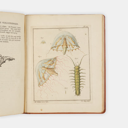 First and only edition of this uncommon microscopical work on invertebrates, Natuurkundige Verlustigingen by Martinus Slabber, published in eighteen parts between 1769 and 1778.