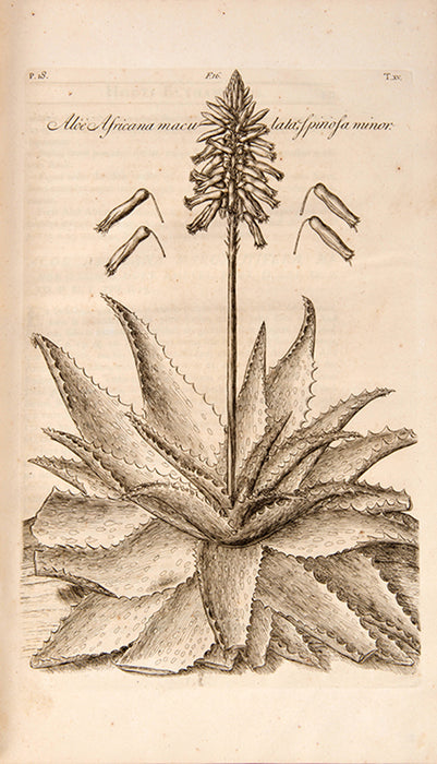 Hortus Elthamensis seu Plantarum Rariorum