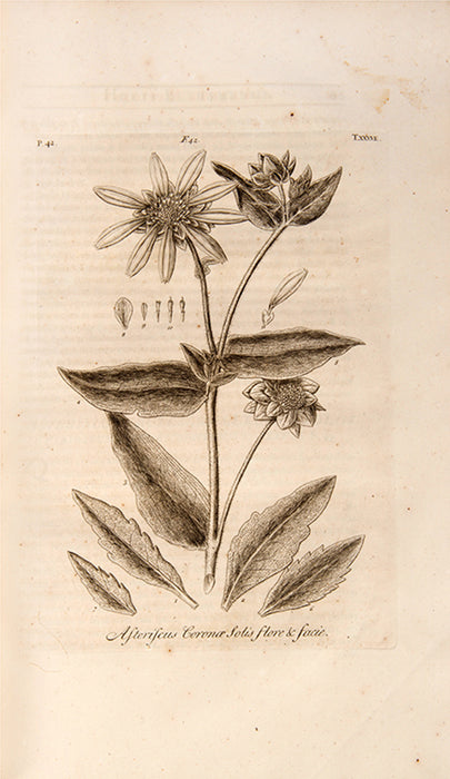 Hortus Elthamensis seu Plantarum Rariorum