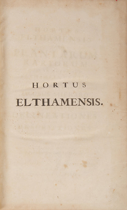 Hortus Elthamensis seu Plantarum Rariorum