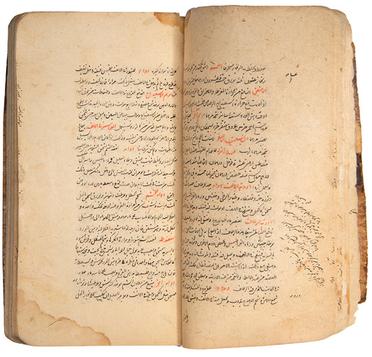 A medical manuscript featuring lists of sicknesses and remedies copied in mughal india in 1698.