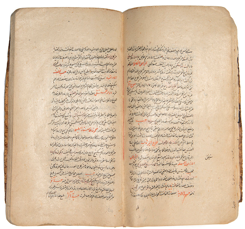 A medical manuscript featuring lists of sicknesses and remedies copied in mughal india in 1698.