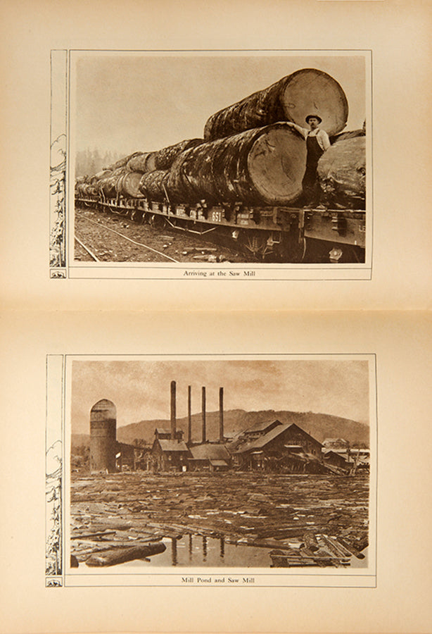An uncommon marketing booklet for the California Sugar & White Pine Company, headquartered in San Francisco in the early 20th century.