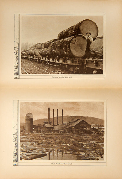 An uncommon marketing booklet for the California Sugar & White Pine Company, headquartered in San Francisco in the early 20th century.