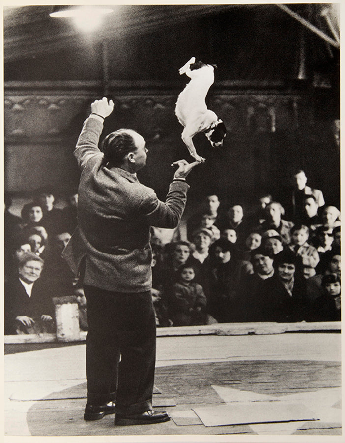 Le Cirque d'Izis focuses on the dignity and humanity of circus performers, who were often marginalized figures in society.