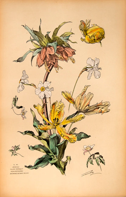 First edition of Henry Lambert's Flore Naturelle, containing 80 hand-coloured plates of flowers.