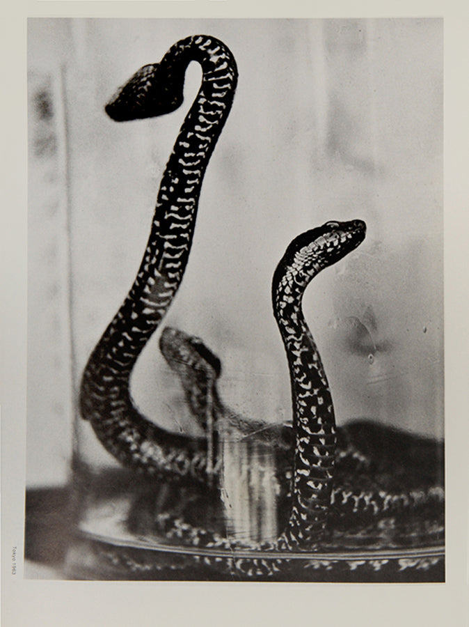 One of an unspecified number of copies bound in boards instead of wrappers. Picture Show No. 1 is devoted to Christer Stromholm's work, presenting photographs from his career 