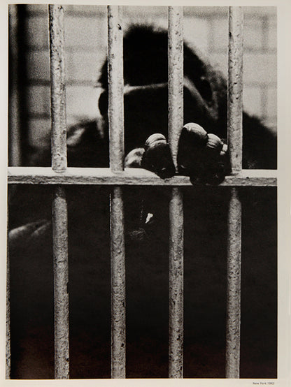One of an unspecified number of copies bound in boards instead of wrappers. Picture Show No. 1 is devoted to Christer Stromholm's work, presenting photographs from his career 