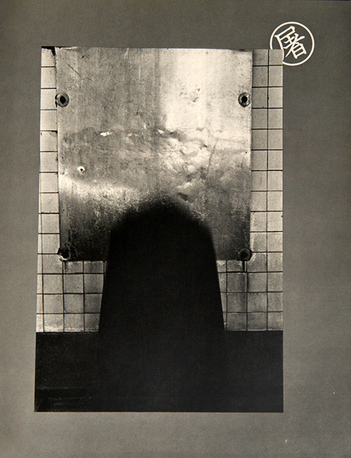 Homo Ludence contains six of Fukase Masahisa's early photographic series.