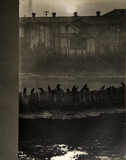 Homo Ludence contains six of Fukase Masahisa's early photographic series.