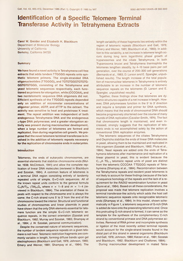 First edition, journal issue of the paper announcing the discovery of telomerase, for which the authors Carol Greider and Elizabeth Blackburn were awarded the Nobel Prize.