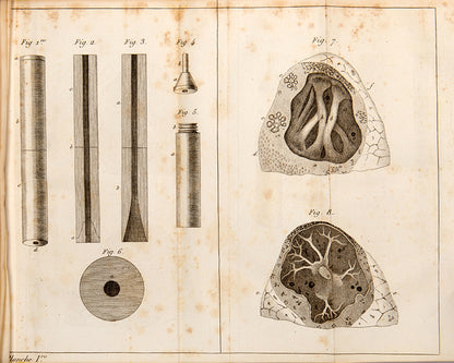 First edition of the announcement of the stethoscope's invention, De l'Auscultation Médiate by Réné Théophile Hyacinthe Laennec, published in 1819.