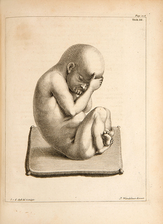 First edition Wilhelmus Noortwyk's Uteri Humani Gravidi, a significant and uncommon obstetrical work illustrated with four superb engravings after Jan Wandelaar, published in 1743.