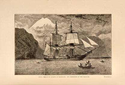 Number 28 of 250 limited edition copies of Horace Hutchinson's Gold, published as part of The Badminton Library series.